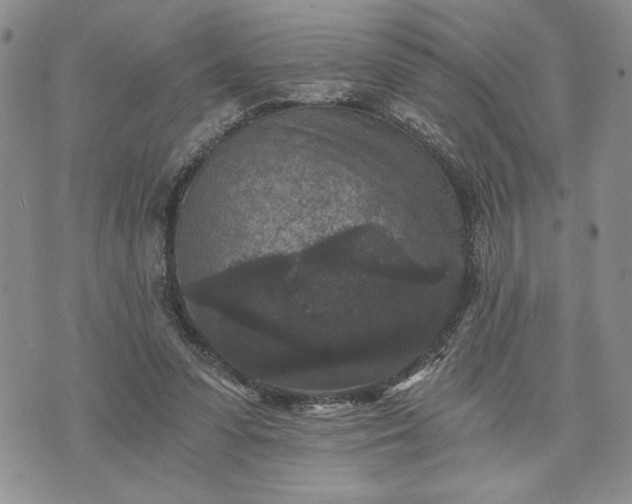 X0000072960303200608041159