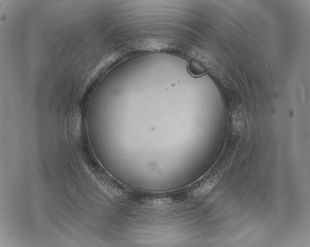 X0000072960304200608041159