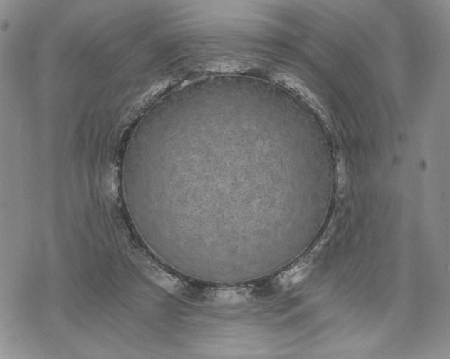 X0000072960305200608041159