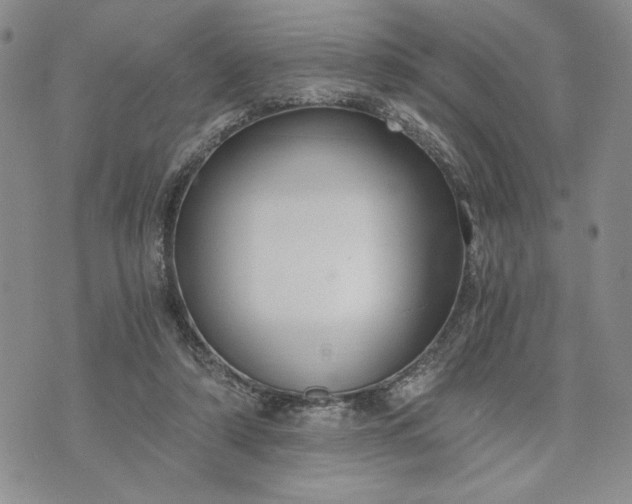 X0000072960306200608041159