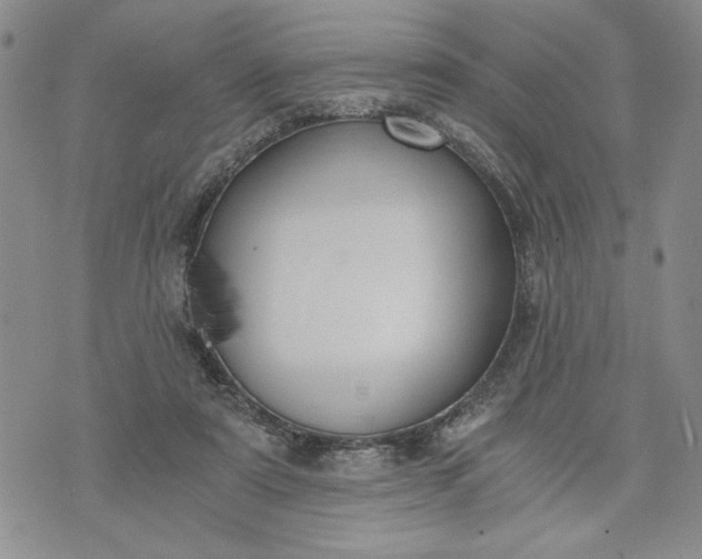 X0000072960307200608041159