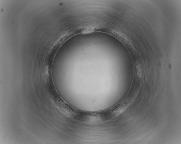 X0000072960308200608041159