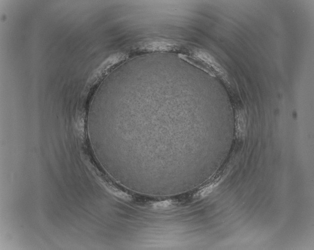 X0000072960309200608041159