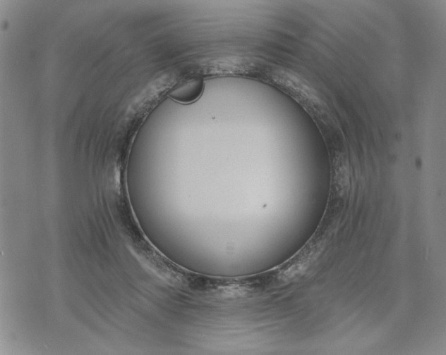 X0000072960310200608041159