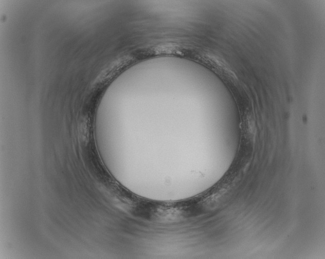 X0000072960311200608041159