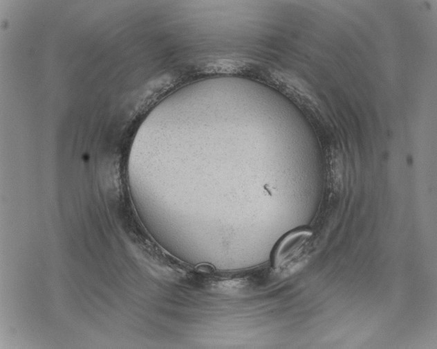 X0000072960312200608041159