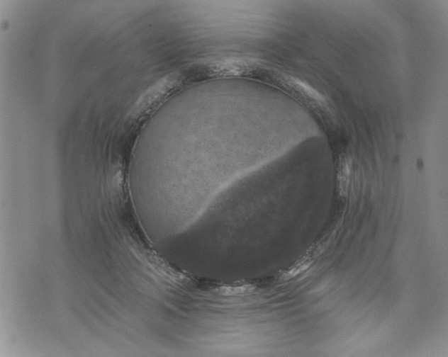 X0000072960314200608041159