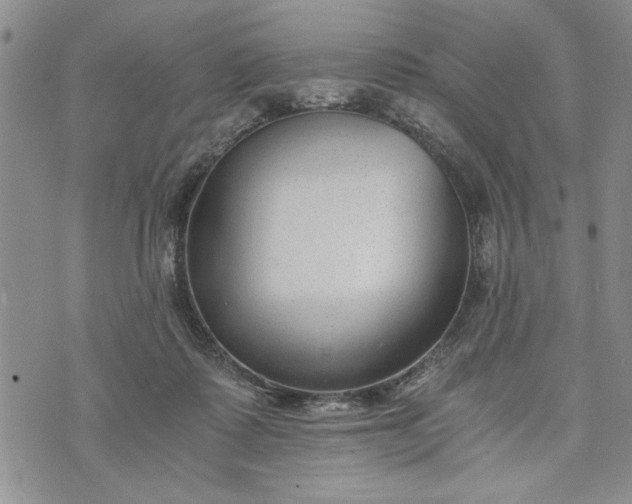 X0000072960315200608041159