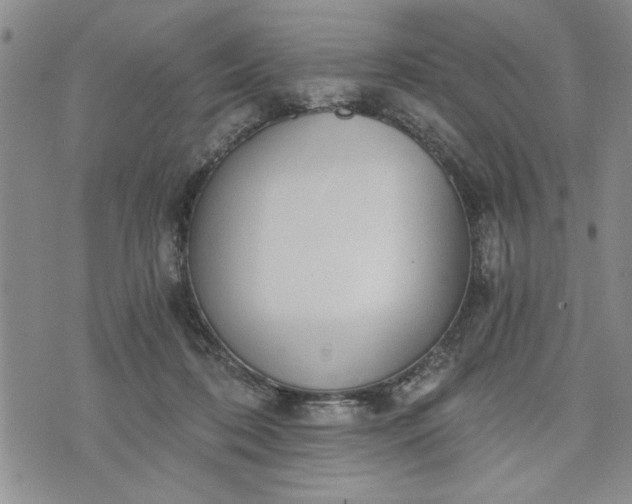 X0000072960316200608041159