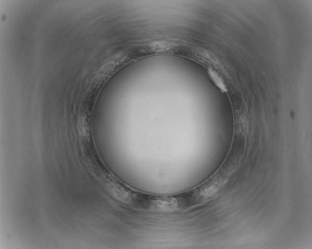 X0000072960317200608041159