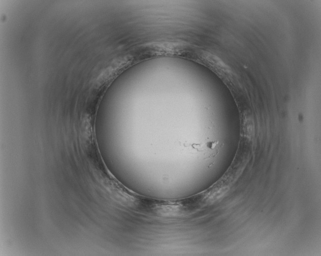 X0000072960318200608041159