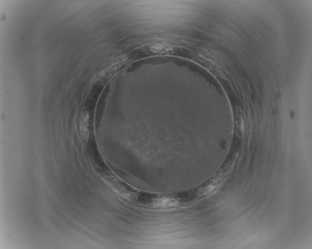 X0000072960319200608041159