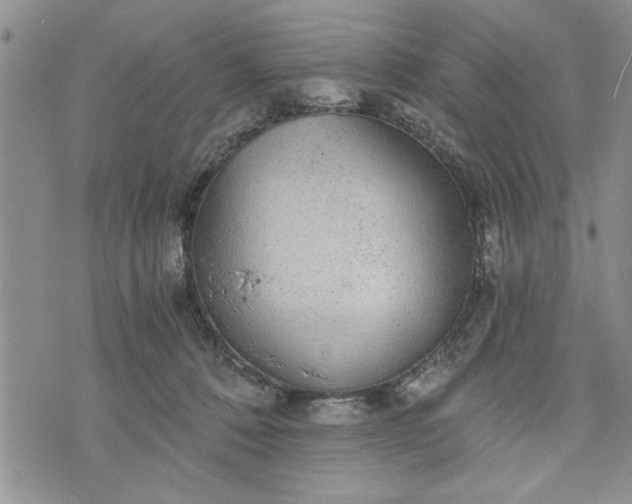 X0000072960320200608041159