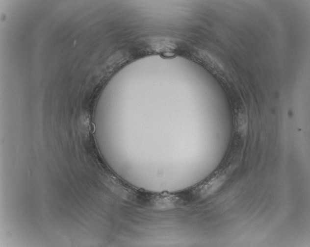 X0000072960321200608041159