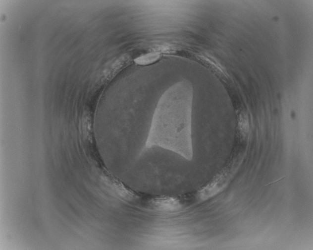 X0000072960322200608041159