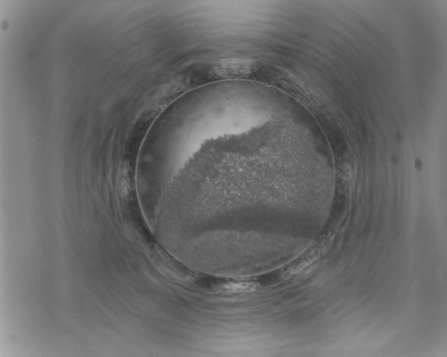 X0000072960323200608041159