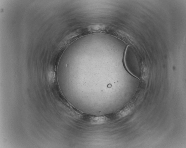 X0000072960324200608041159