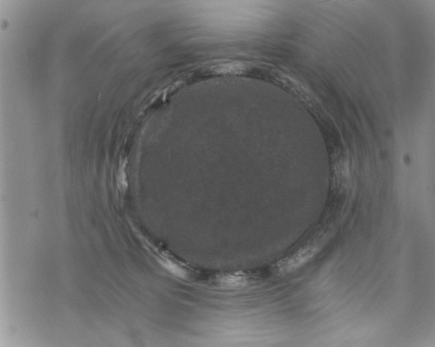 X0000072960325200608041159