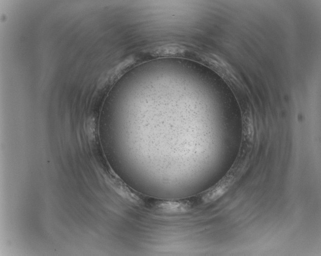 X0000072960326200608041159