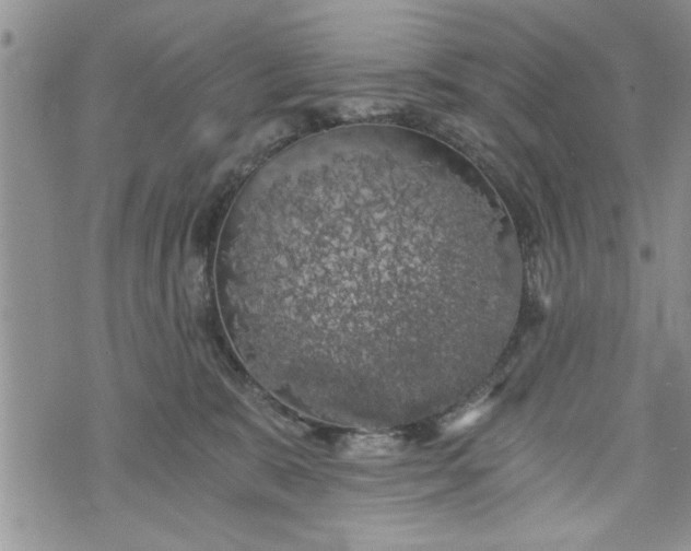 X0000072960327200608041159