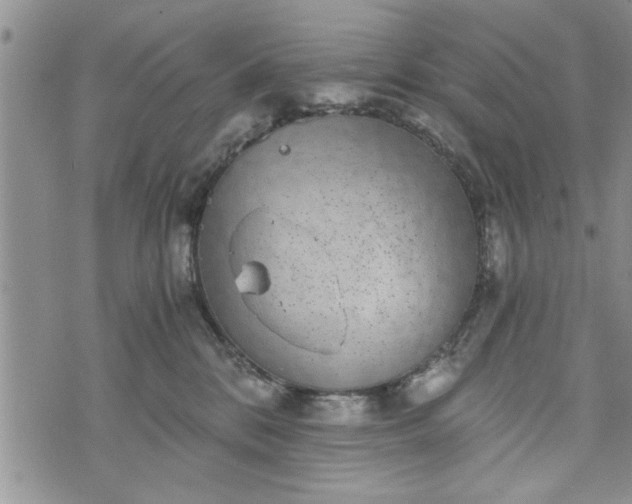 X0000072960328200608041159