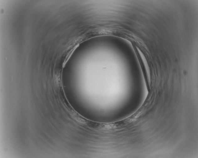 X0000072960329200608041159