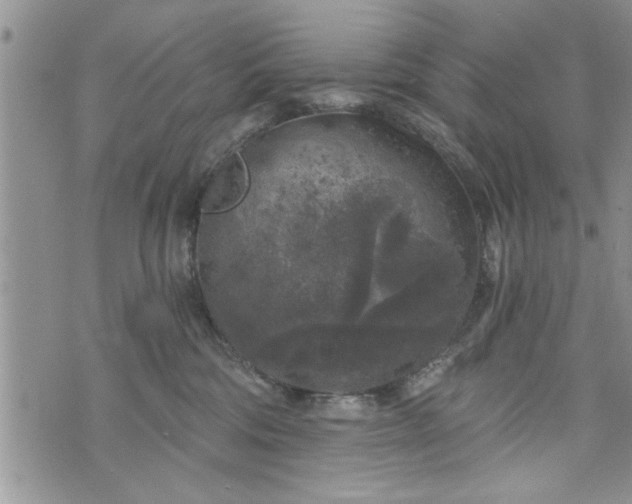 X0000072960330200608041159