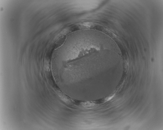 X0000072960331200608041159