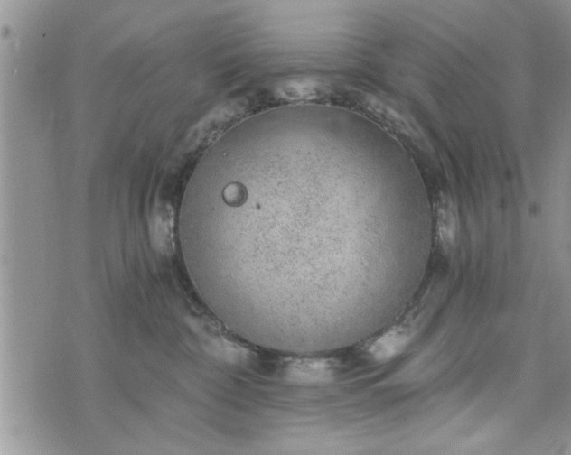 X0000072960332200608041159