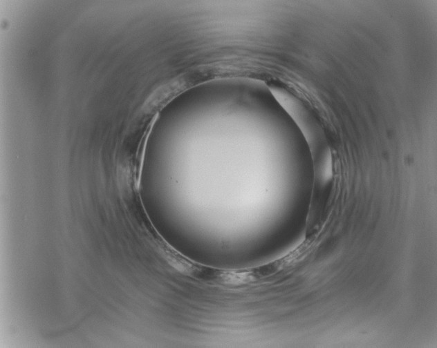 X0000072960333200608041159