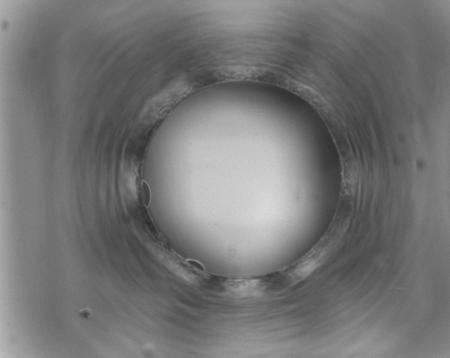 X0000072960334200608041159