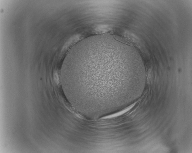 X0000072960335200608041159