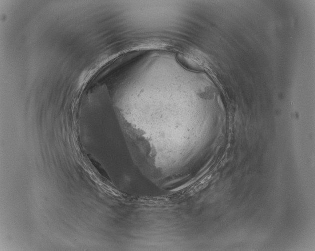 X0000072960337200608041158