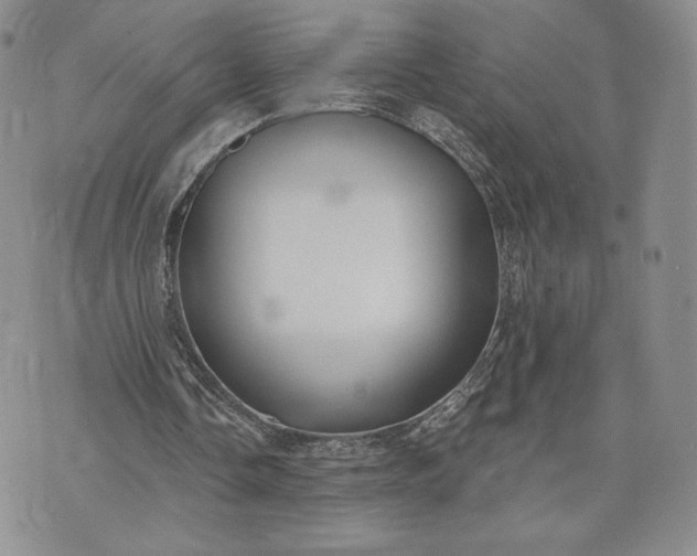 X0000072960338200608041158