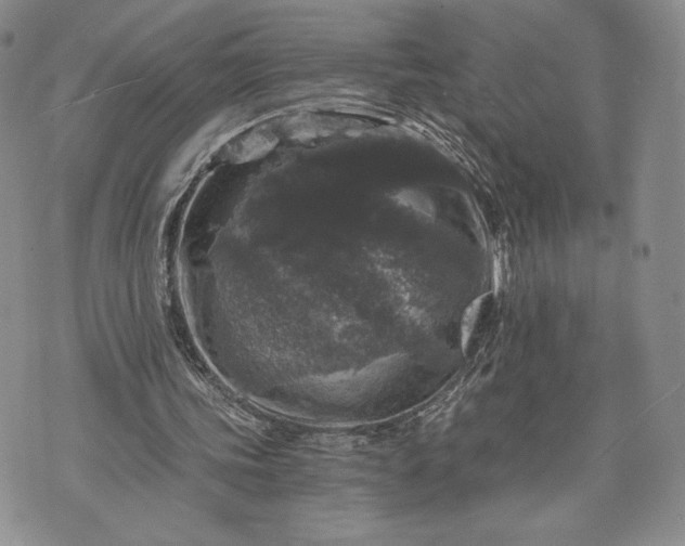 X0000072960339200608041158