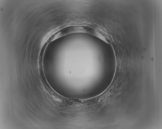 X0000072960340200608041158