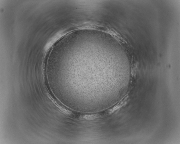 X0000072960341200608041158