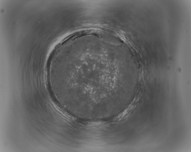 X0000072960342200608041158