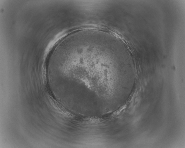 X0000072960343200608041158