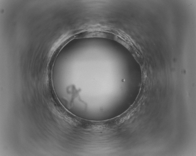 X0000072960344200608041158