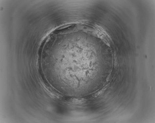 X0000072960346200608041158