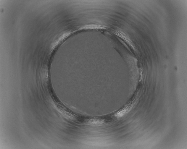 X0000072960348200608041158