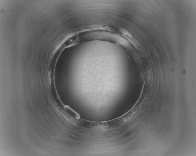 X0000072960350200608041158