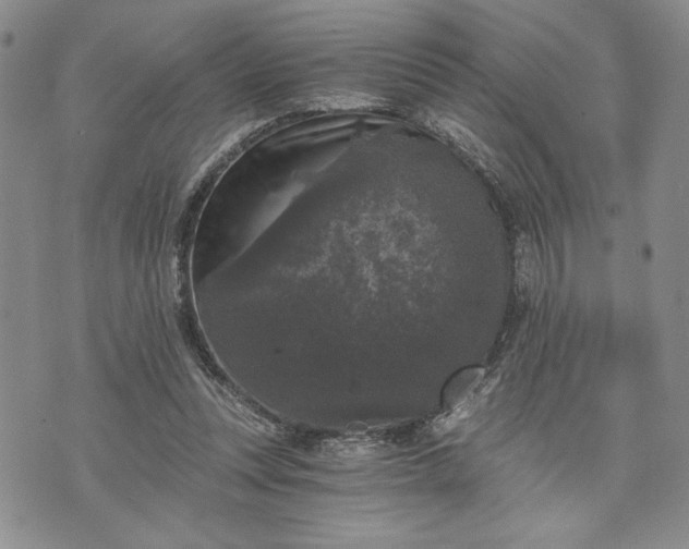 X0000072960351200608041158