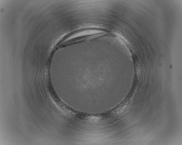 X0000072960352200608041158