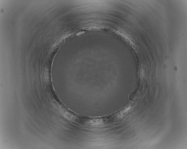 X0000072960353200608041158