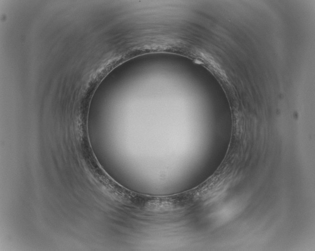 X0000072960354200608041158