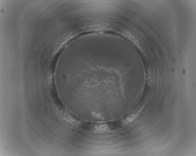 X0000072960355200608041158