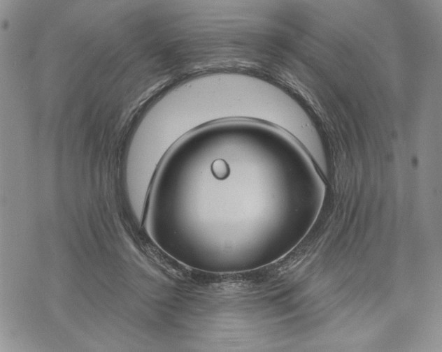 X0000072960356200608041158