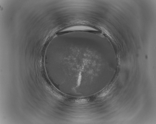 X0000072960357200608041158